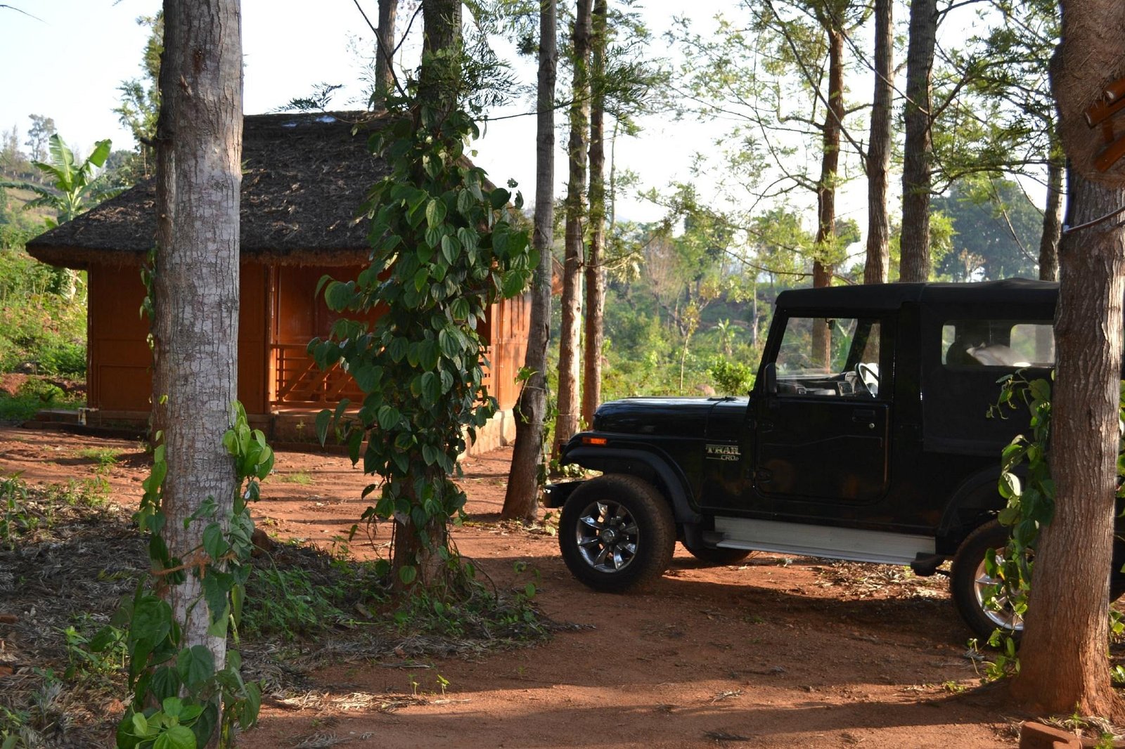 VGF Kholli Hills Estate - Forest Edge