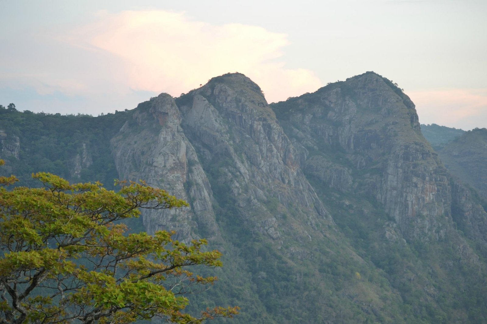 VGF Kholli Hills Estate - Valley Stream