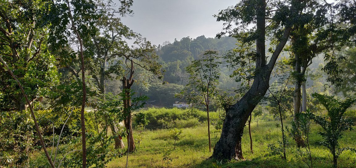 VGF Kholli Hills Estate - Natural Beauty