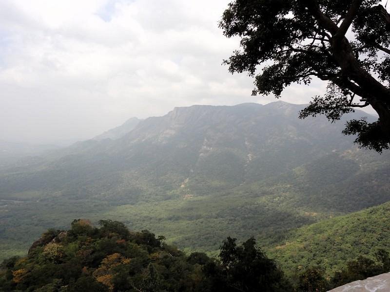 VGF Kholli Hills Estate - Estate Landscape