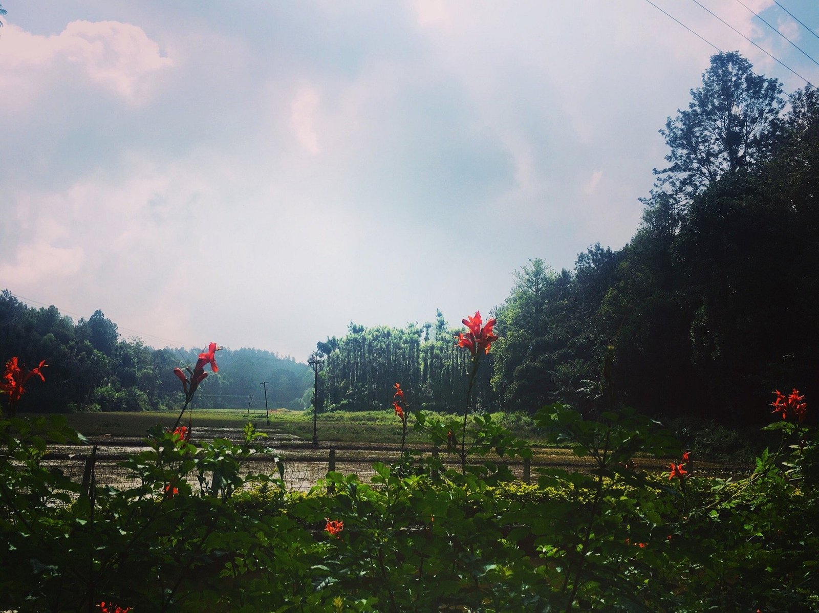 VGF Kholli Hills Estate - Hilltop View