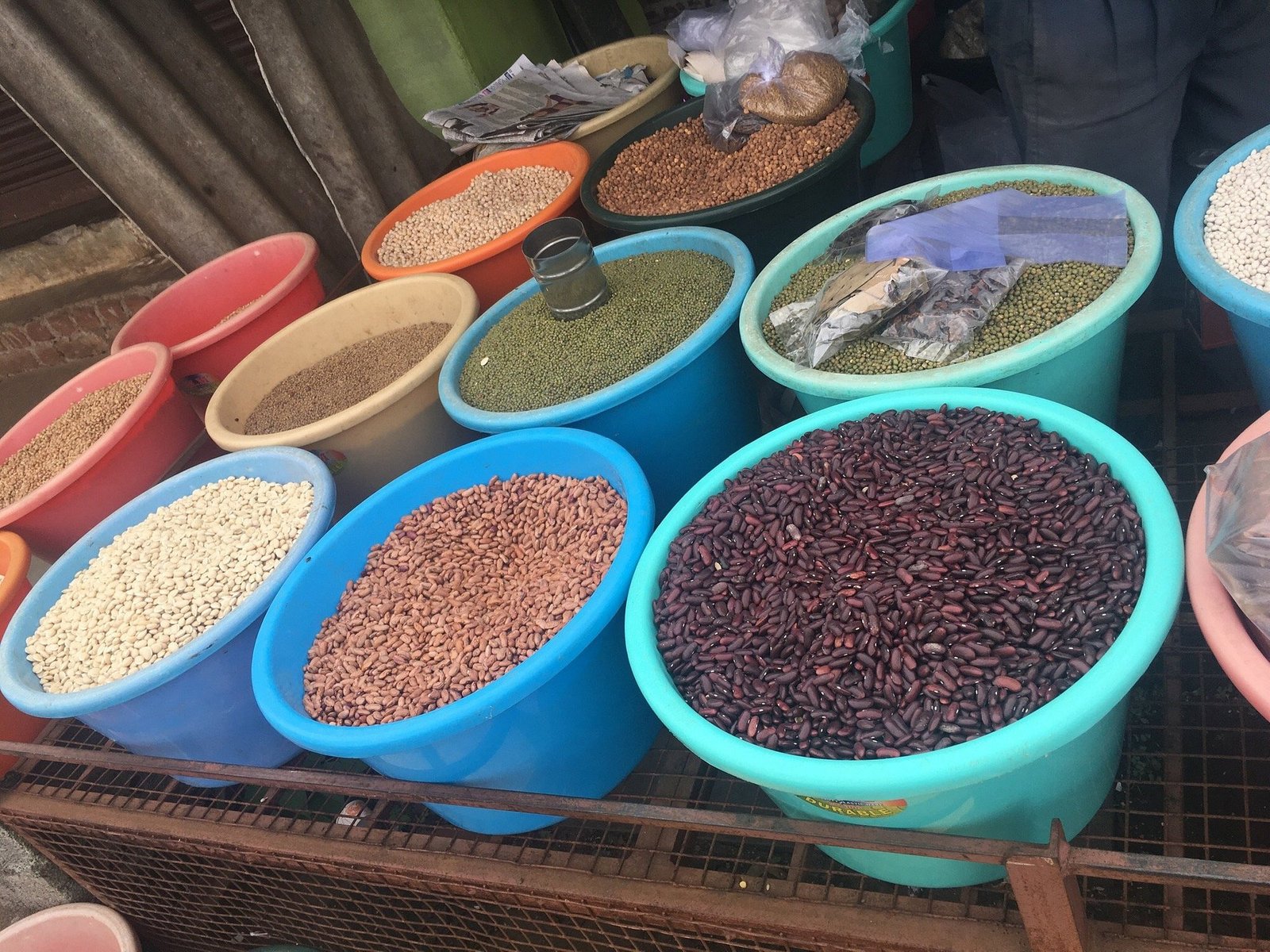 VGF Kholli Hills Estate - Plantation Fields