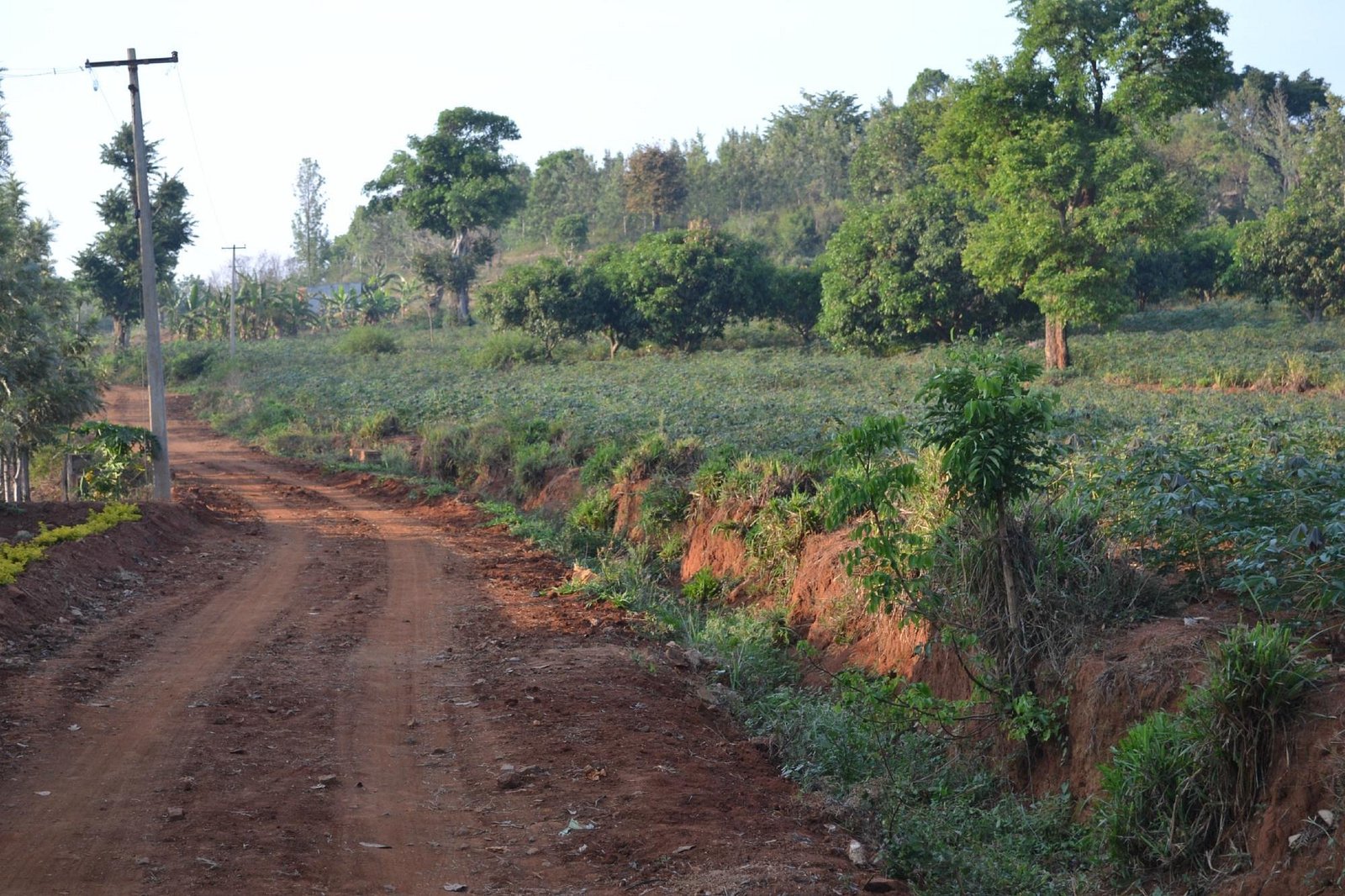 VGF Kholli Hills Estate - Scenic Paradise