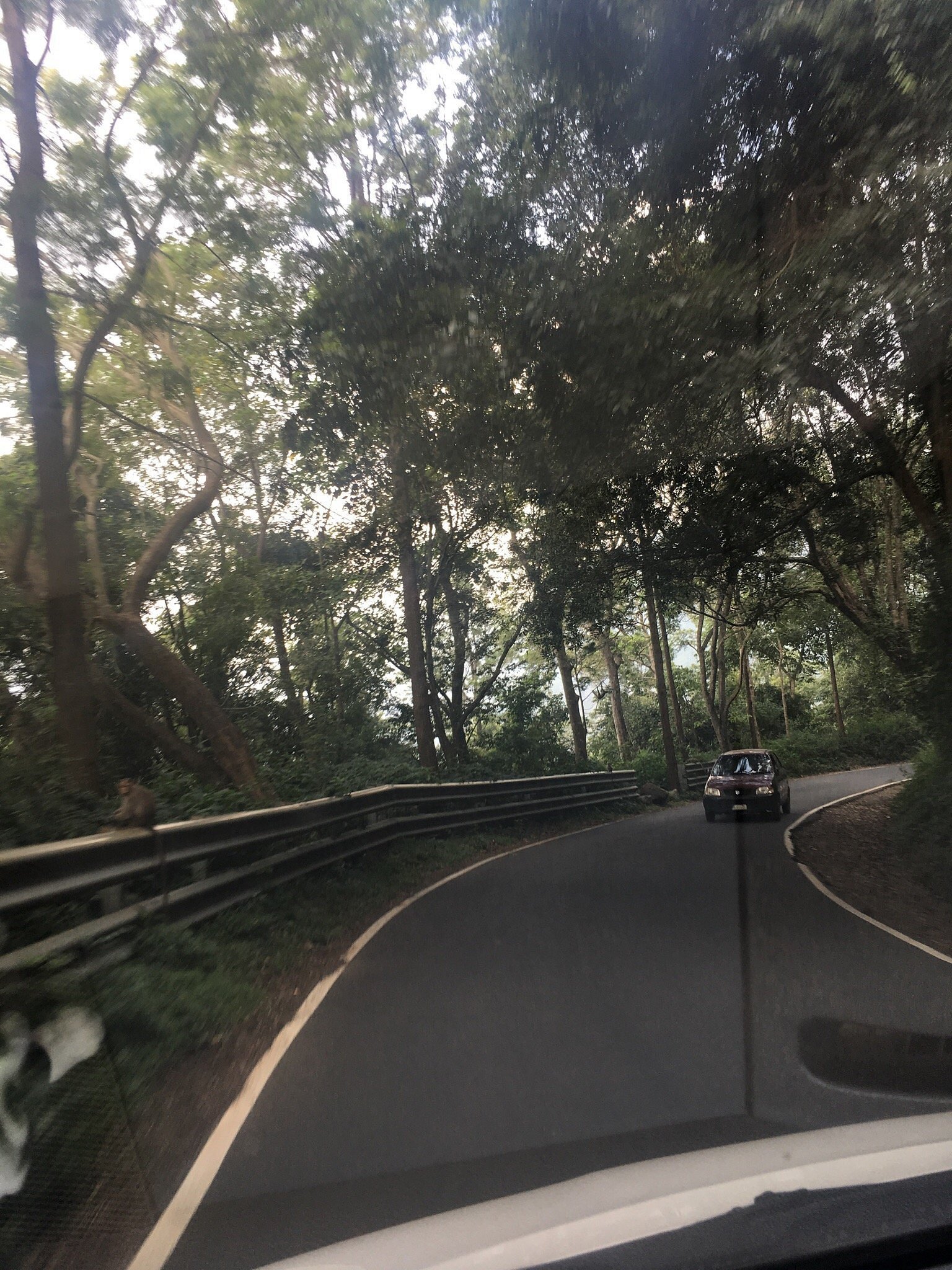 VGF Kholli Hills Estate - Cinnamon Grove