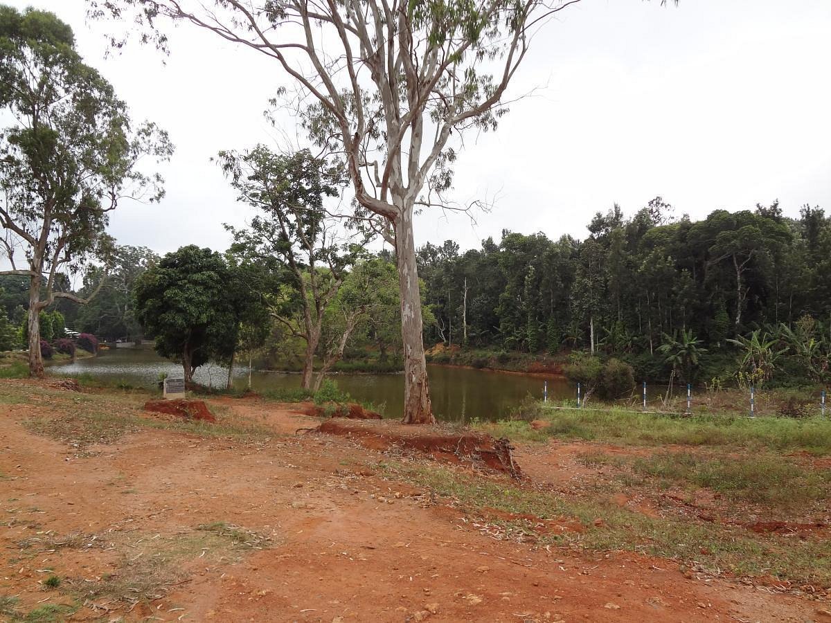 VGF Kholli Hills Estate - Riverside View