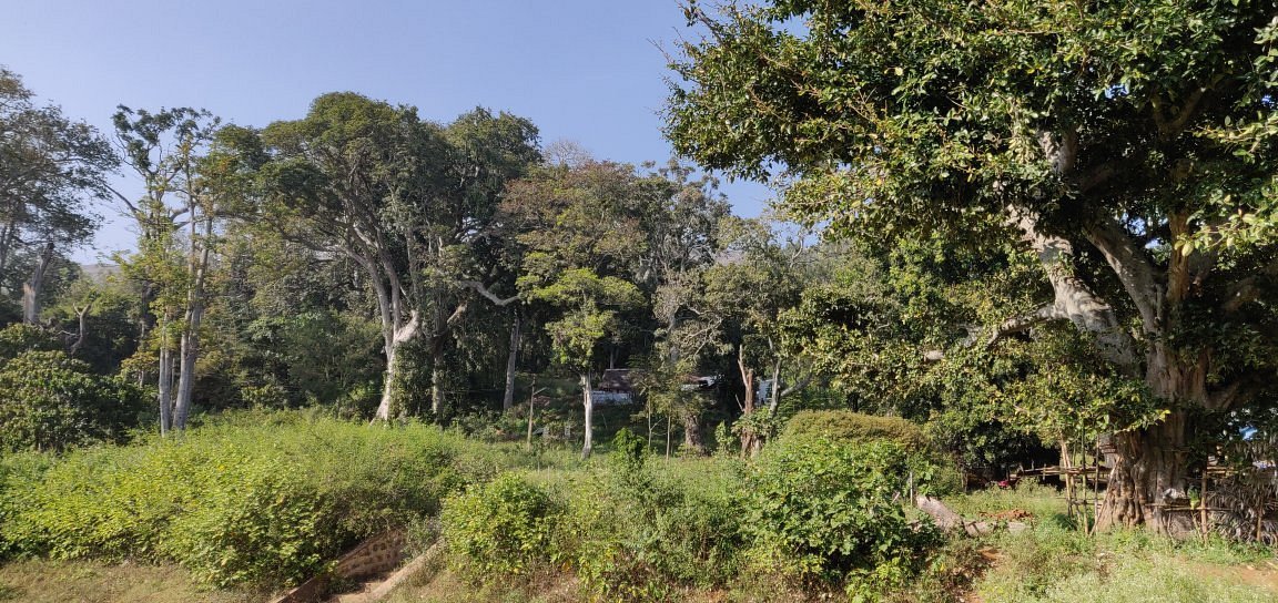 VGF Kholli Hills Estate - Mountain View