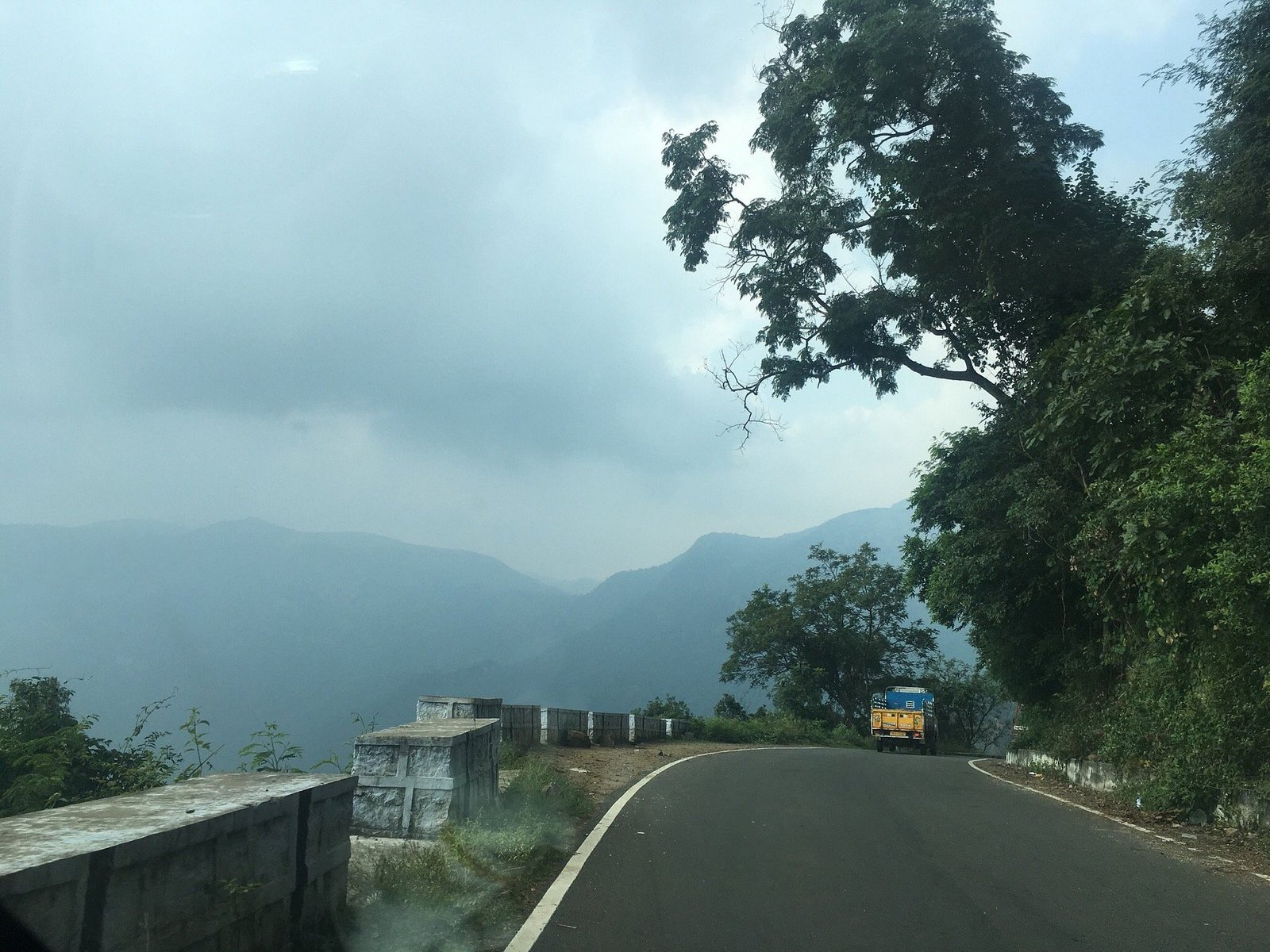 VGF Kholli Hills Estate - Plantation Path